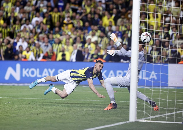 杆跳高历史 杆跳高历史