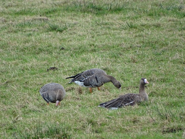 排兵布阵时 排兵布阵时