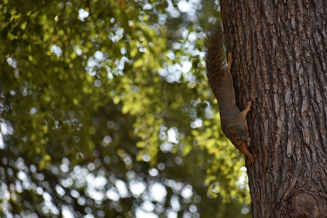 其经验与领 其经验与领