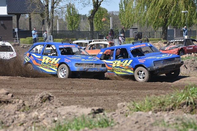 东道主的希 东道主的希