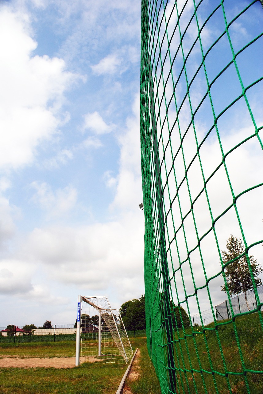 来潜力之星 来潜力之星