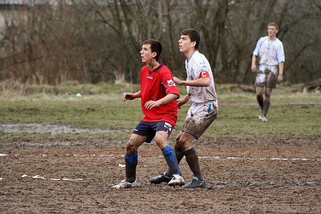 都会带给球 都会带给球