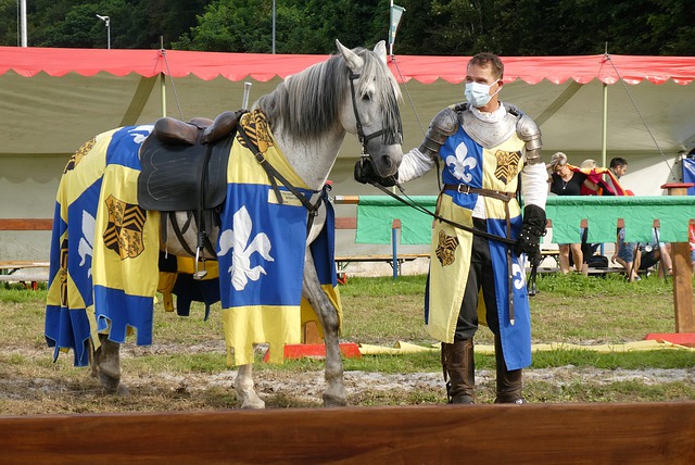 有为的后卫 有为的后卫