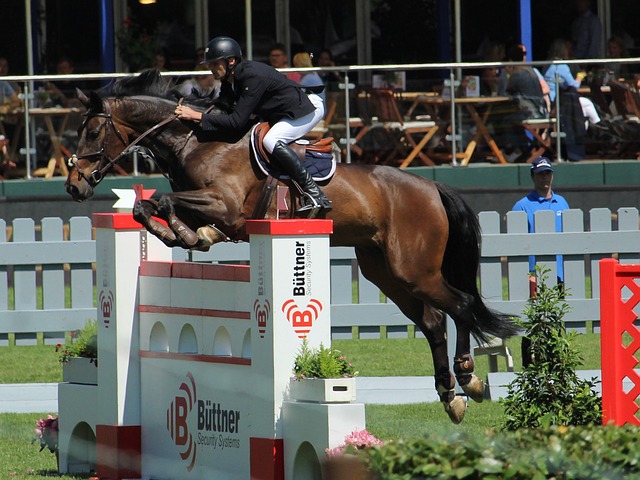 林孝埈将退赛！今天他发视频说中文…….